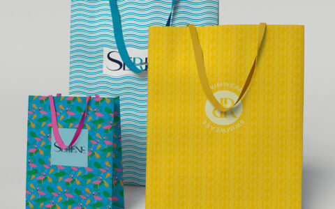 Création graphique de 3 visuels pour des sacs d'emplettes aux couleurs festives.